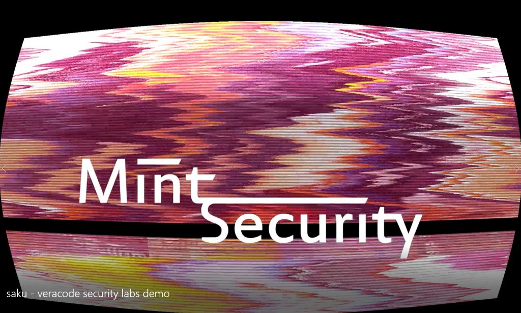 Mint Security Video